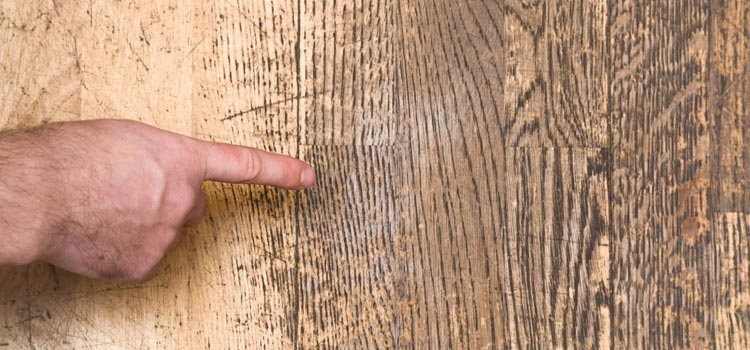 Wood Door Scratch Repair in Inglewood